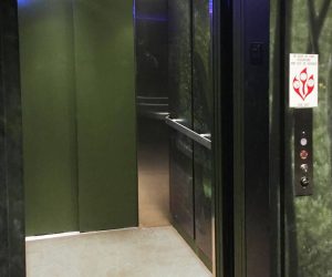 Symmetry LULA Elevator installed at Wonders of Wildlife by Country Home Elevator